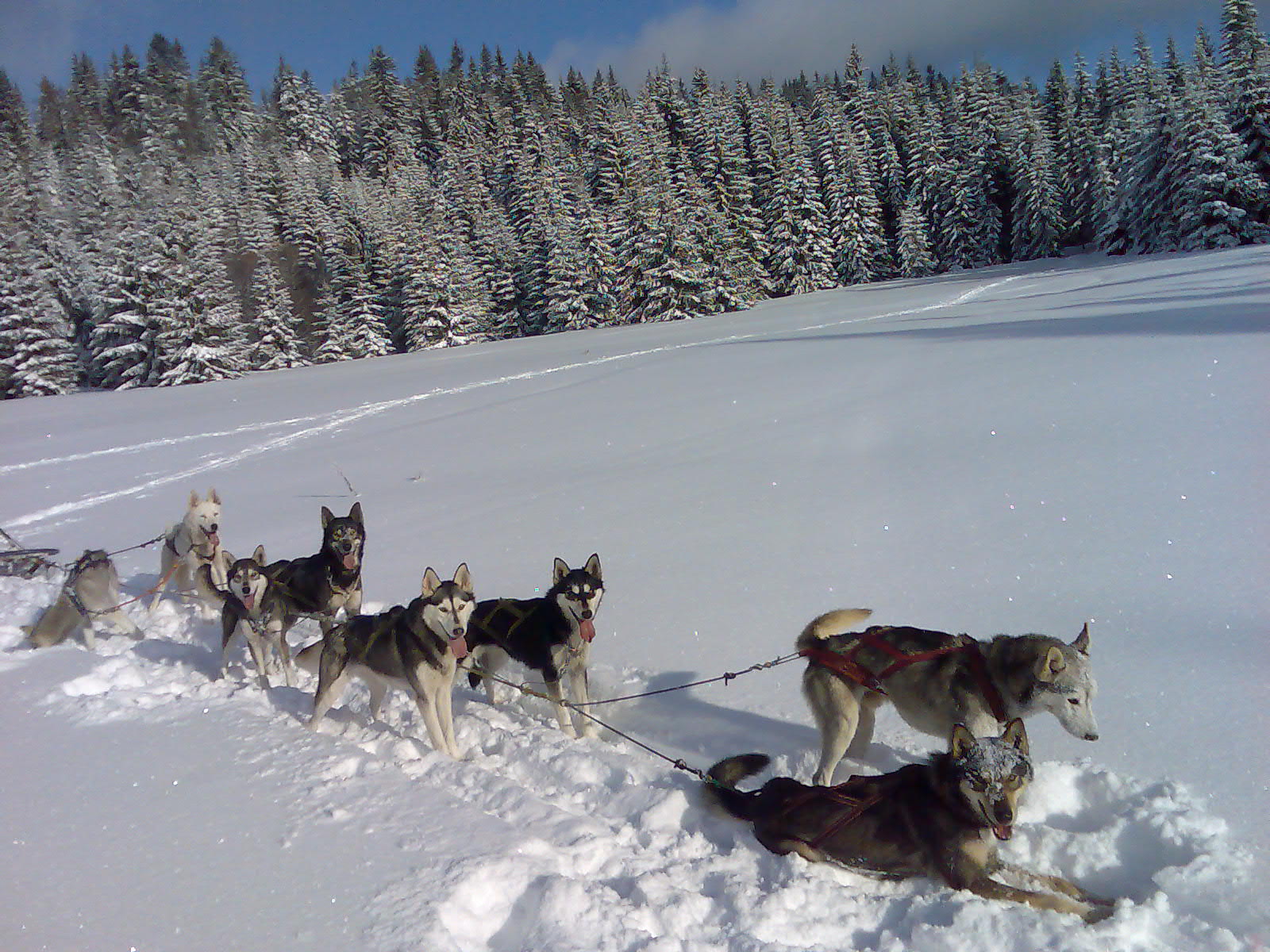 snOsmka003.jpg