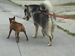 DSC00222.jpg