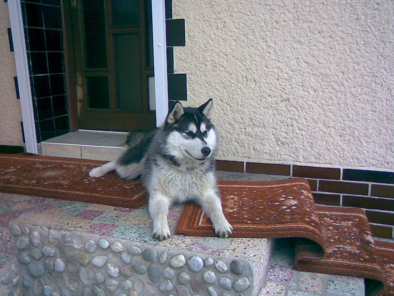 27042009.jpg