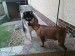 DSC00307.JPG