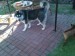 DSC00281.JPG